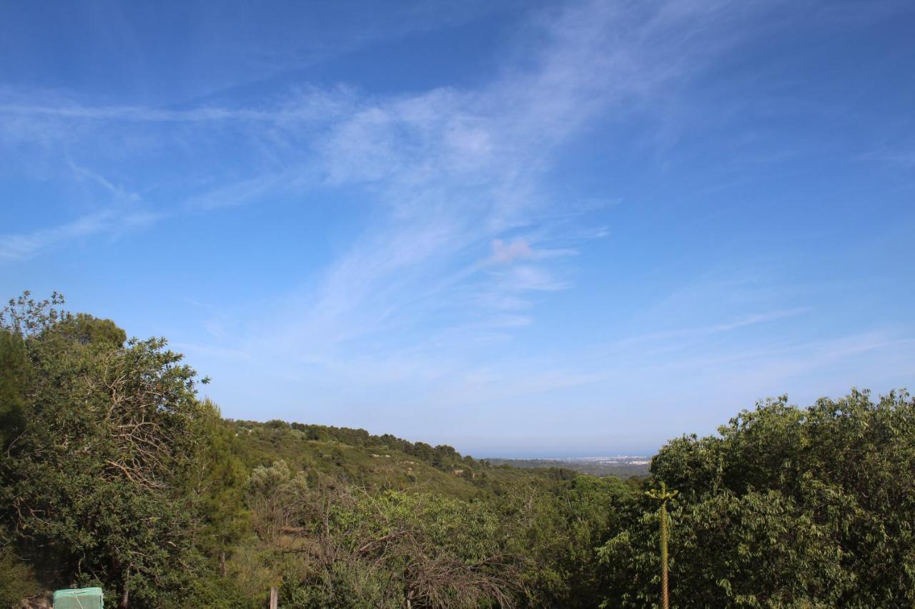 הוילה Traiguera El Castellet מראה חיצוני תמונה